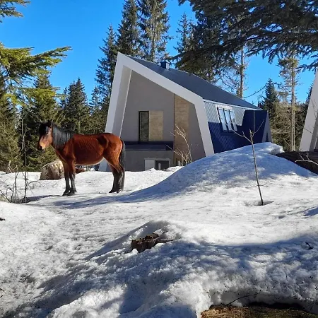 빌라 Olympic Oasis *