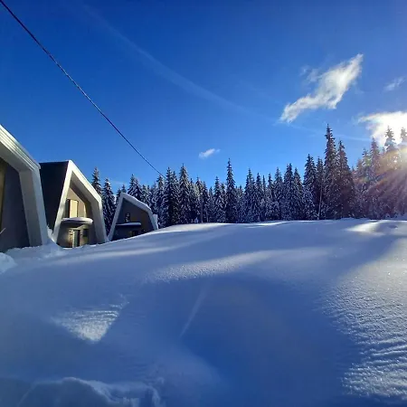 Olympic Oasis * 자호리나